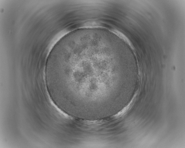 X0000070370855200606161315