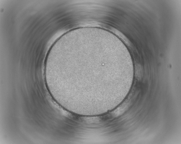 X0000070370856200606161315