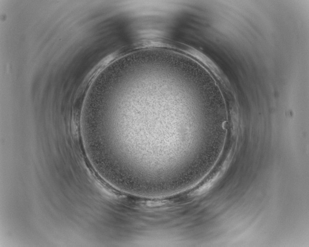 X0000070370857200606161315