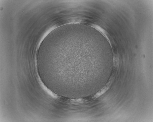 X0000070370859200606161315