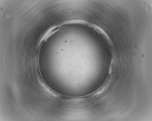 X0000070370860200606161315