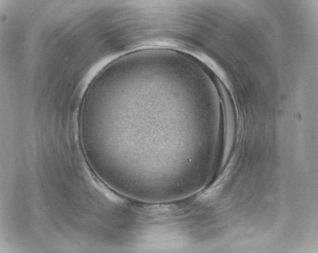 X0000070370862200606161315