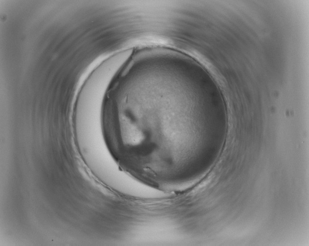 X0000070370864200606161315