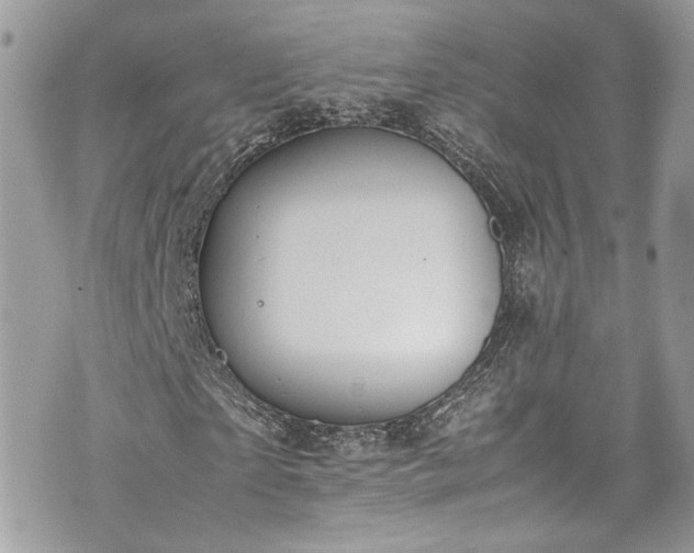 X0000070370865200606161314