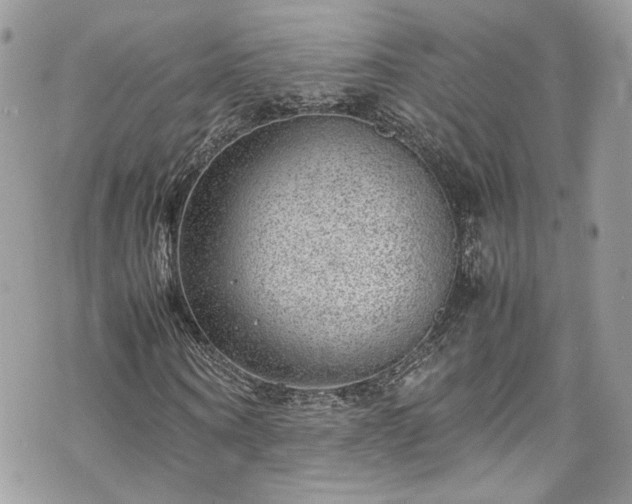 X0000070370866200606161314