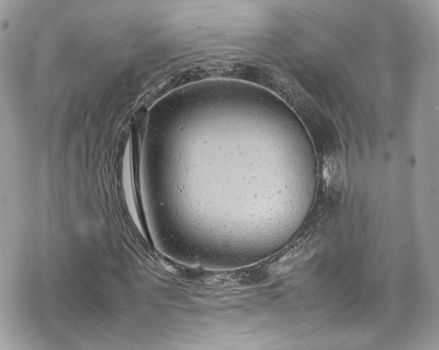 X0000070370867200606161314