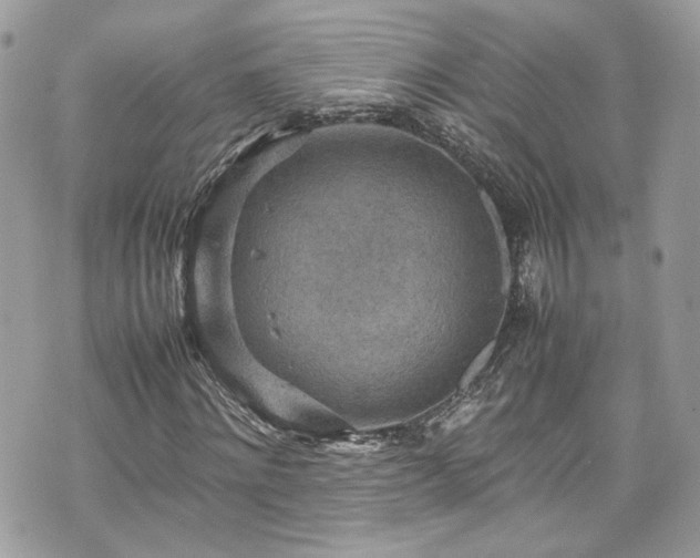 X0000070370868200606161314