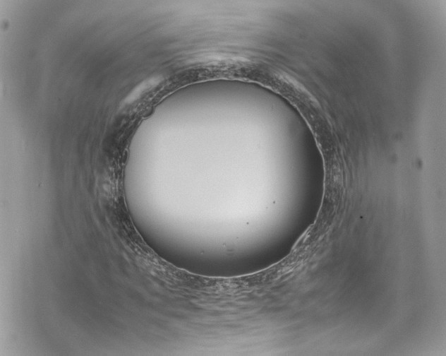 X0000070370869200606161314