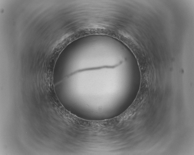 X0000070370870200606161314