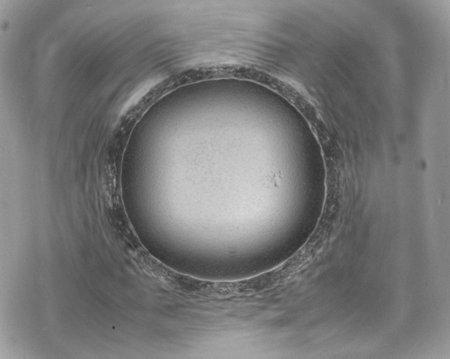 X0000070370871200606161314