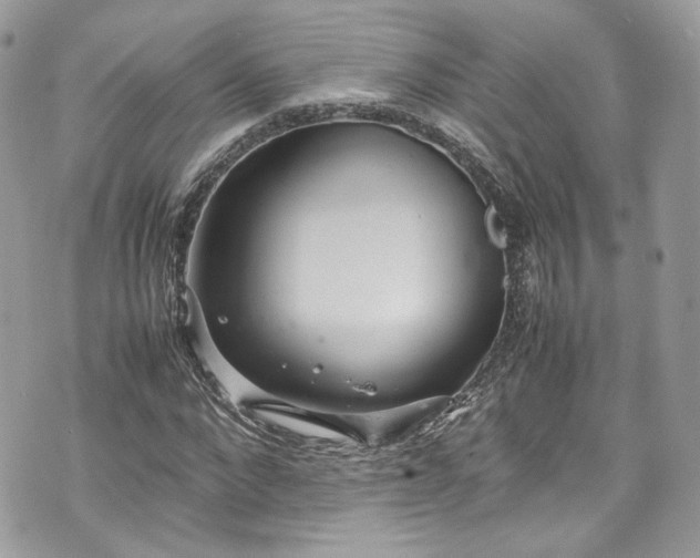 X0000070370872200606161314