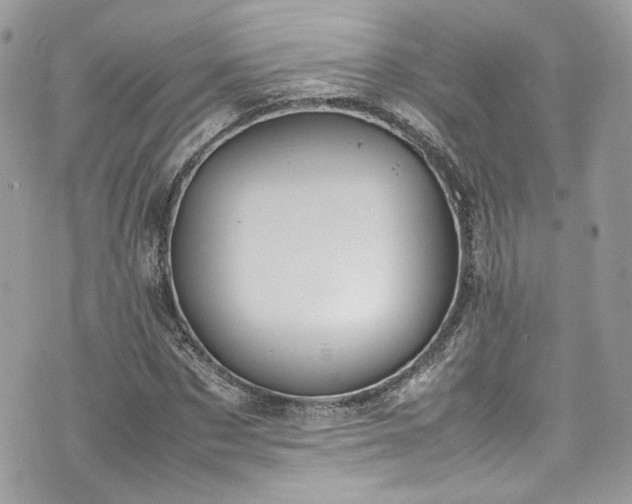 X0000070370873200606161314