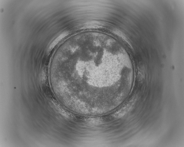 X0000070370874200606161314