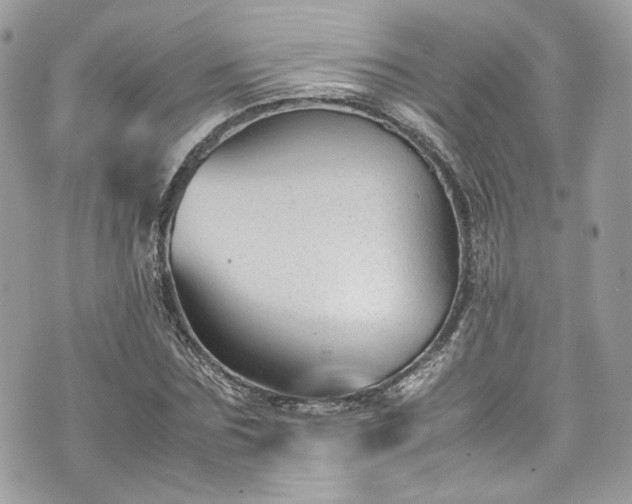 X0000070370875200606161314