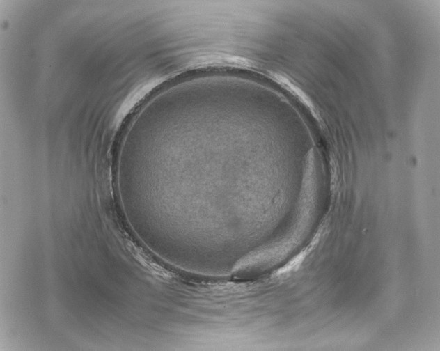 X0000070370877200606161314