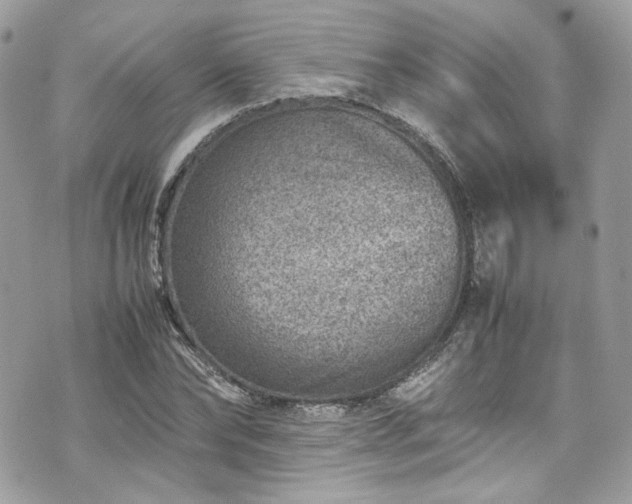 X0000070370878200606161314