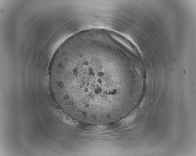 X0000070370879200606161314