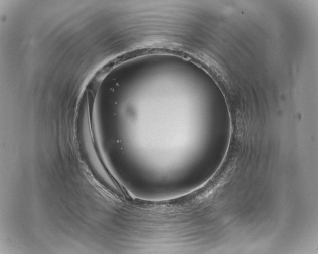 X0000070370880200606161314