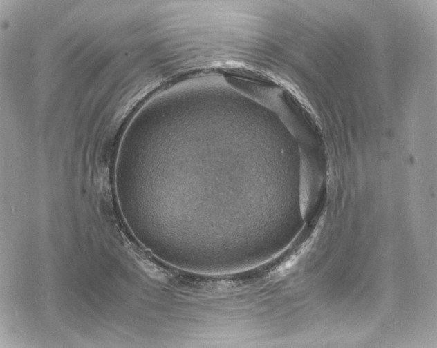 X0000070370881200606161314