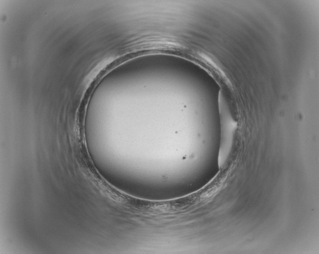 X0000070370883200606161314