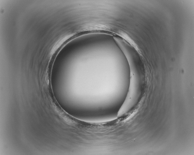 X0000070370885200606161314