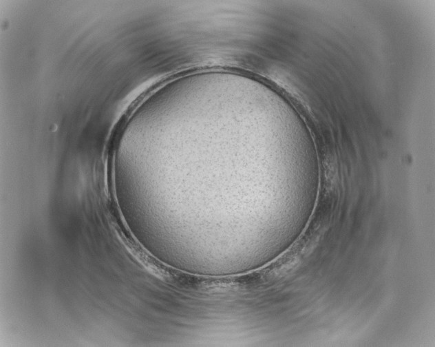 X0000070370886200606161314