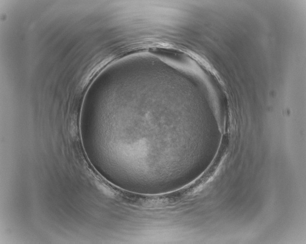 X0000070370889200606161314