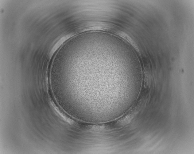 X0000070370890200606161314