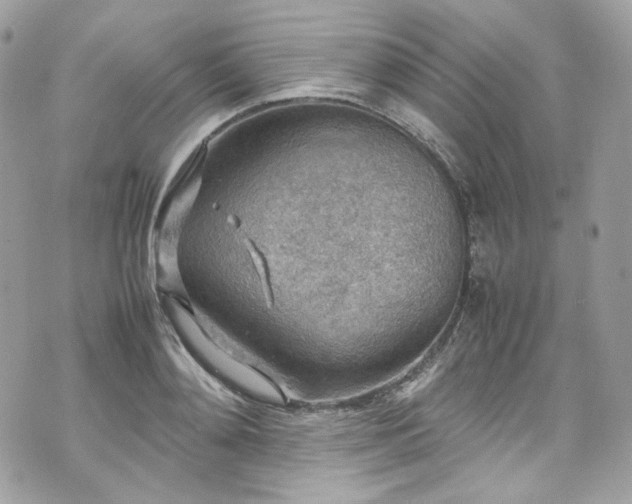 X0000070370892200606161314