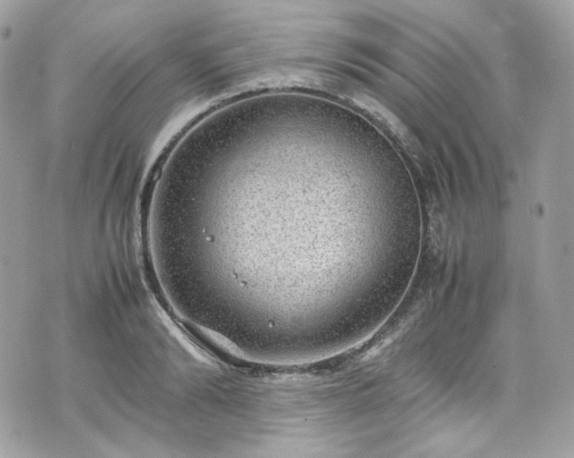 X0000070370894200606161314