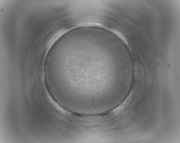 X0000070370895200606161314