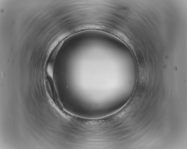 X0000070370898200606161314