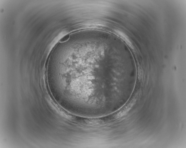 X0000070370899200606161314