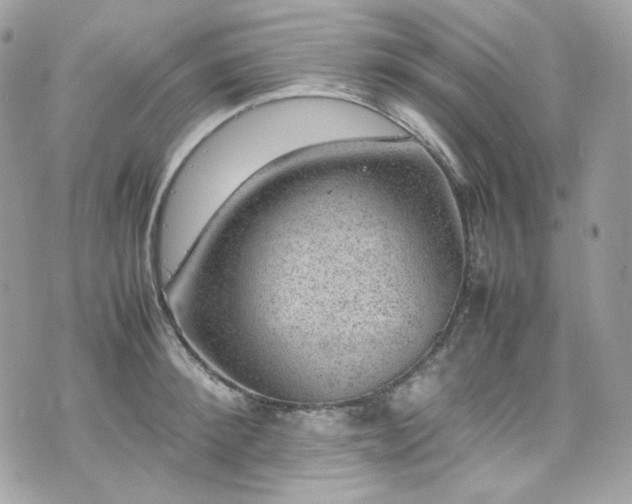 X0000070370900200606161314