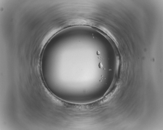 X0000070370901200606161314