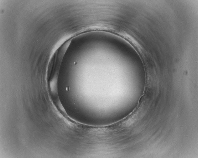 X0000070370902200606161314