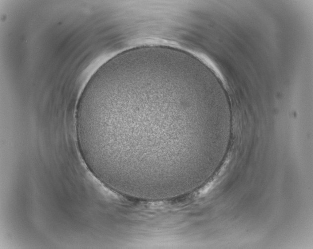 X0000070370903200606161314