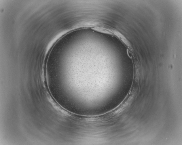 X0000070370904200606161314