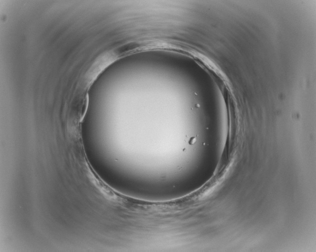 X0000070370905200606161314