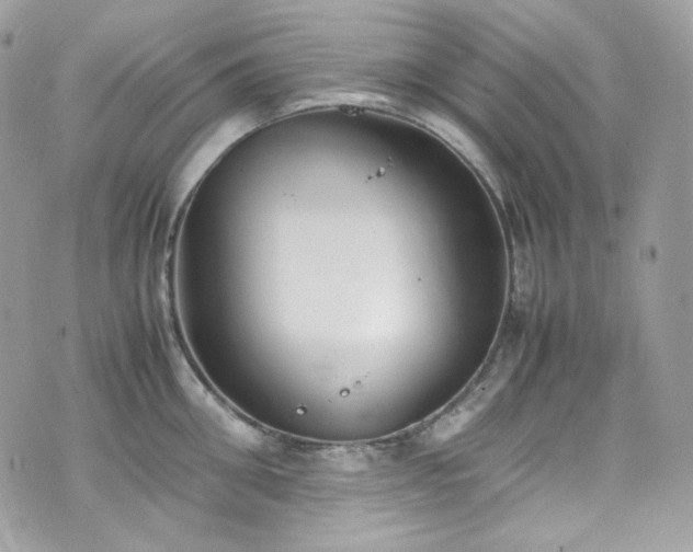 X0000070370906200606161314