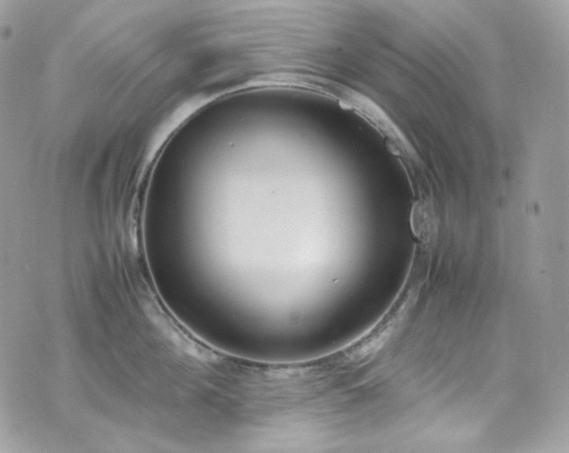 X0000070370908200606161314