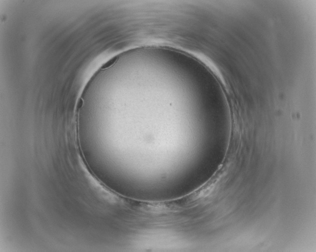 X0000070370911200606161314