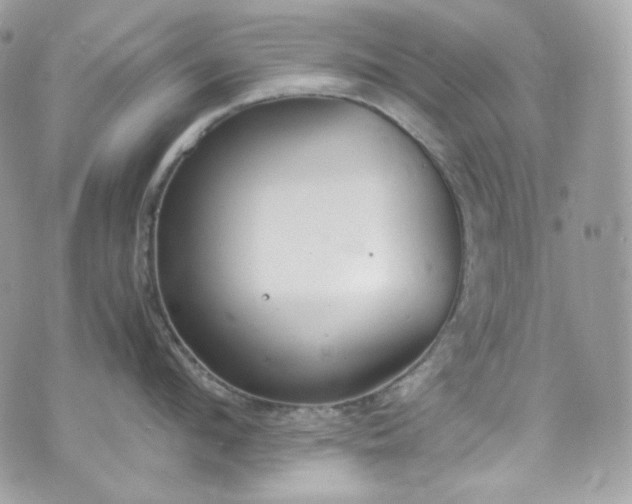 X0000070370912200606161314