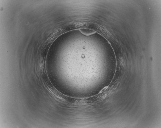 X0000070370914200606161313