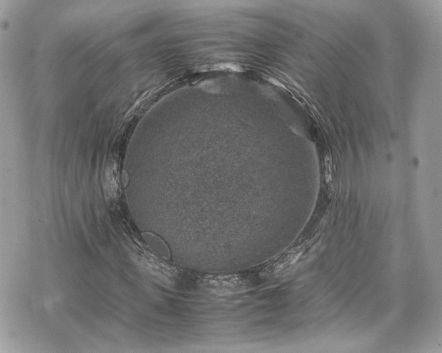 X0000070370915200606161313