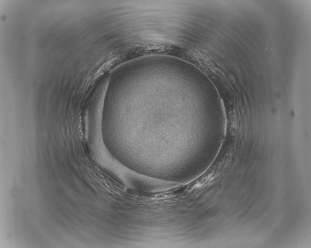 X0000070370916200606161313