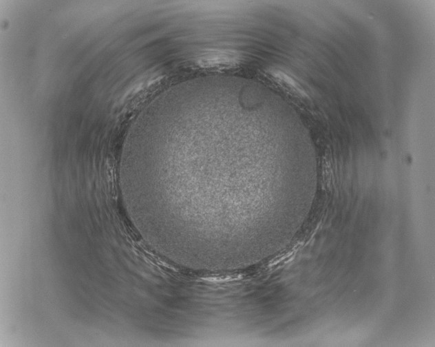 X0000070370917200606161313