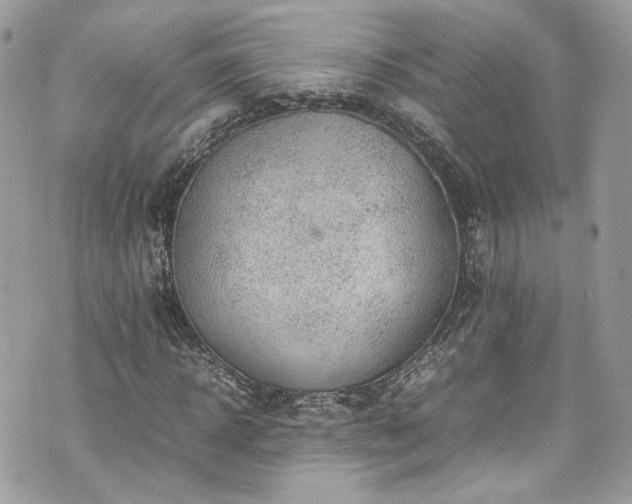 X0000070370918200606161313