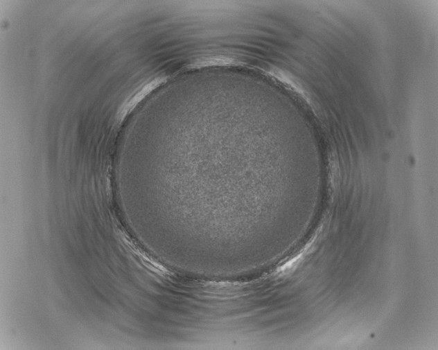 X0000070370921200606161313