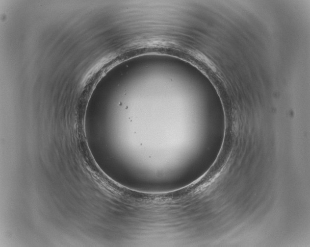 X0000070370922200606161313